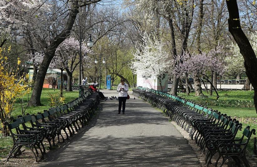 Nicușor Dan curăță parcurile și bugetul 18829117