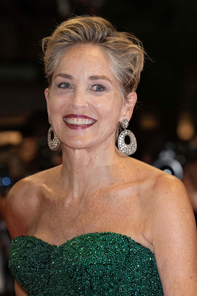 Incredibil! Sharon Stone a pierdut custodia fiului ei din cauza celebrei scene din Basic Instinct 18829174