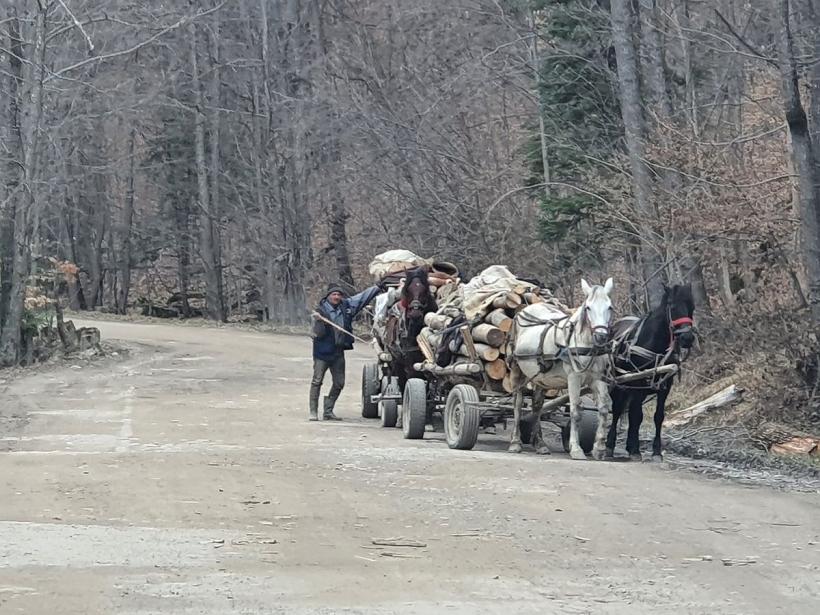 Valea Uzului: Eroii lui „Pe-aici nu se trece”, desființați de un primar UDMR. „Aici nu au fost români'' 18829517