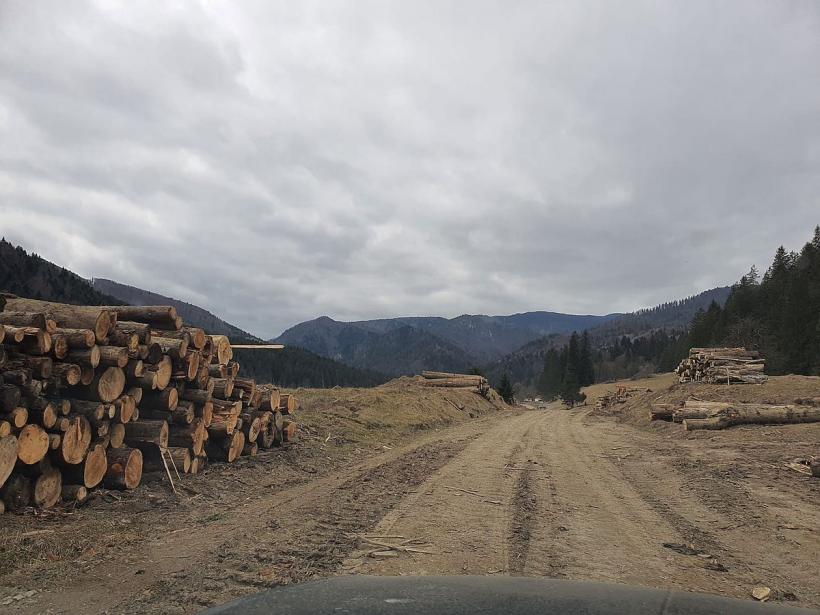 Valea Uzului: Eroii lui „Pe-aici nu se trece”, desființați de un primar UDMR. „Aici nu au fost români'' 18829518