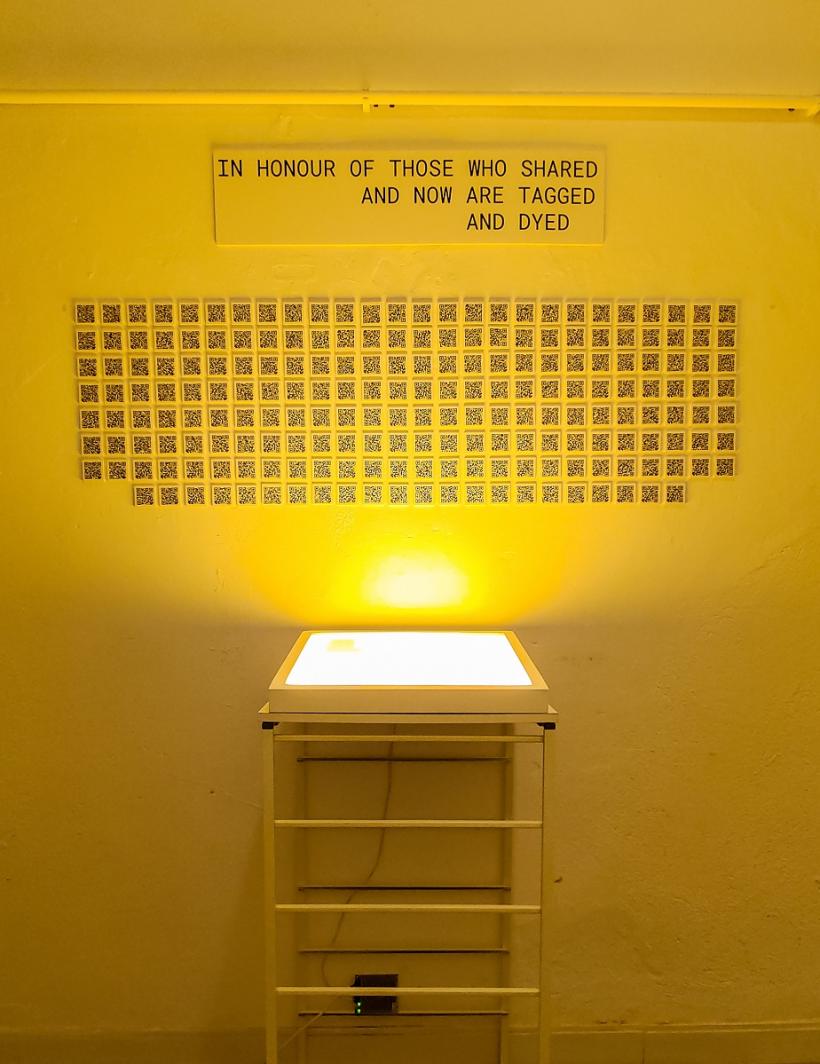 Instalația Share, Tag or Dye Again, în cinci orașe și două țări în 2023 18829427