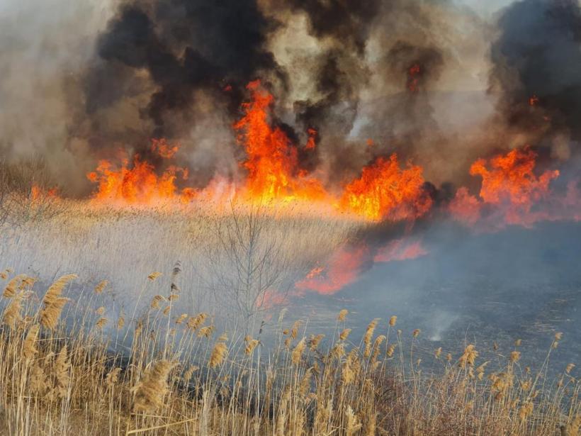 Apel al ISU Tulcea pentru stoparea incendiilor de vegetație. Pericol pentru oameni, habitate naturale și bunuri materiale 18829748