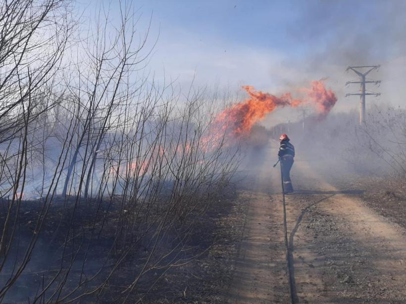Apel al ISU Tulcea pentru stoparea incendiilor de vegetație. Pericol pentru oameni, habitate naturale și bunuri materiale 18829751