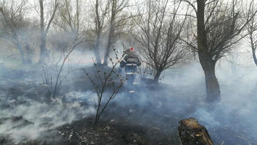 Apel al ISU Tulcea pentru stoparea incendiilor de vegetație. Pericol pentru oameni, habitate naturale și bunuri materiale 18829752