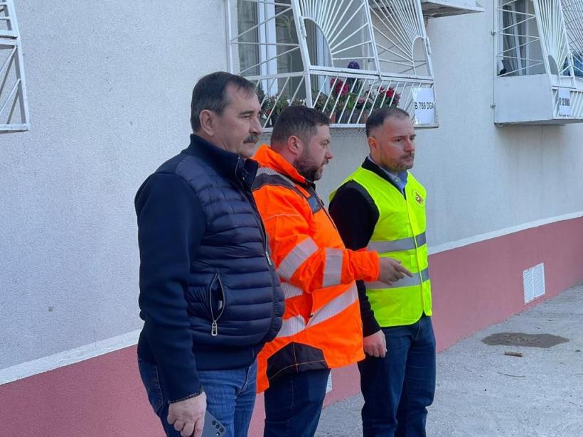 20.000 de tei, platani și stejari vor fi plantați în Sectorul 5 18829871