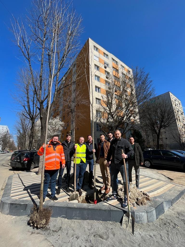 20.000 de tei, platani și stejari vor fi plantați în Sectorul 5 18829872