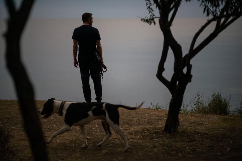 Producții românești la Festivalul Internațional de Film de la Sofia, cu sprijinul Institutului Cultural Român 18830228