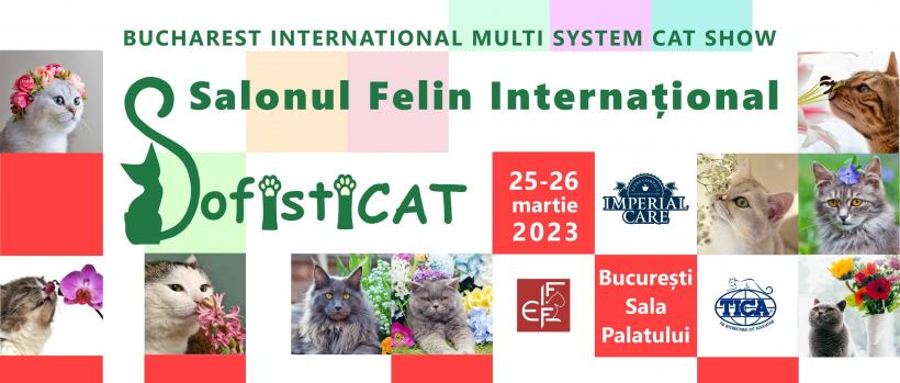 SofistiCAT – Salonul Felin Internațional București revine la Sala Palatului cu ediția specială “Flori și pisici”