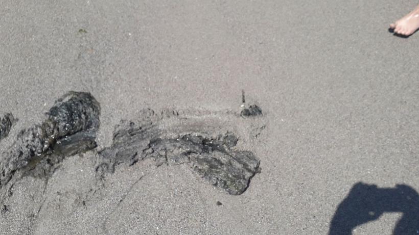 Ministerul Mediului cere demolarea cluburilor „de fițe” de la malul mării 18830889