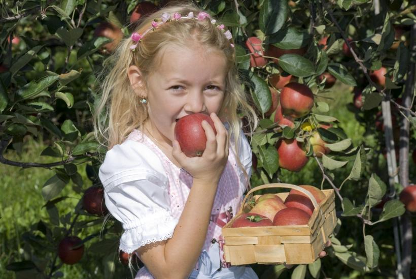 Ce facem cu stratul de ceară care acoperă merele. Ar trebui sau nu să o înlăturăm înainte de mânca aceste fructe delicioase?