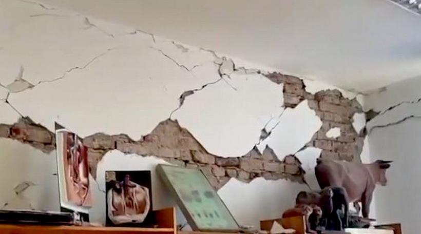 Bulinele roșii au intrat în faza „Avem bani,  dar nu avem  specialiști” 18831012