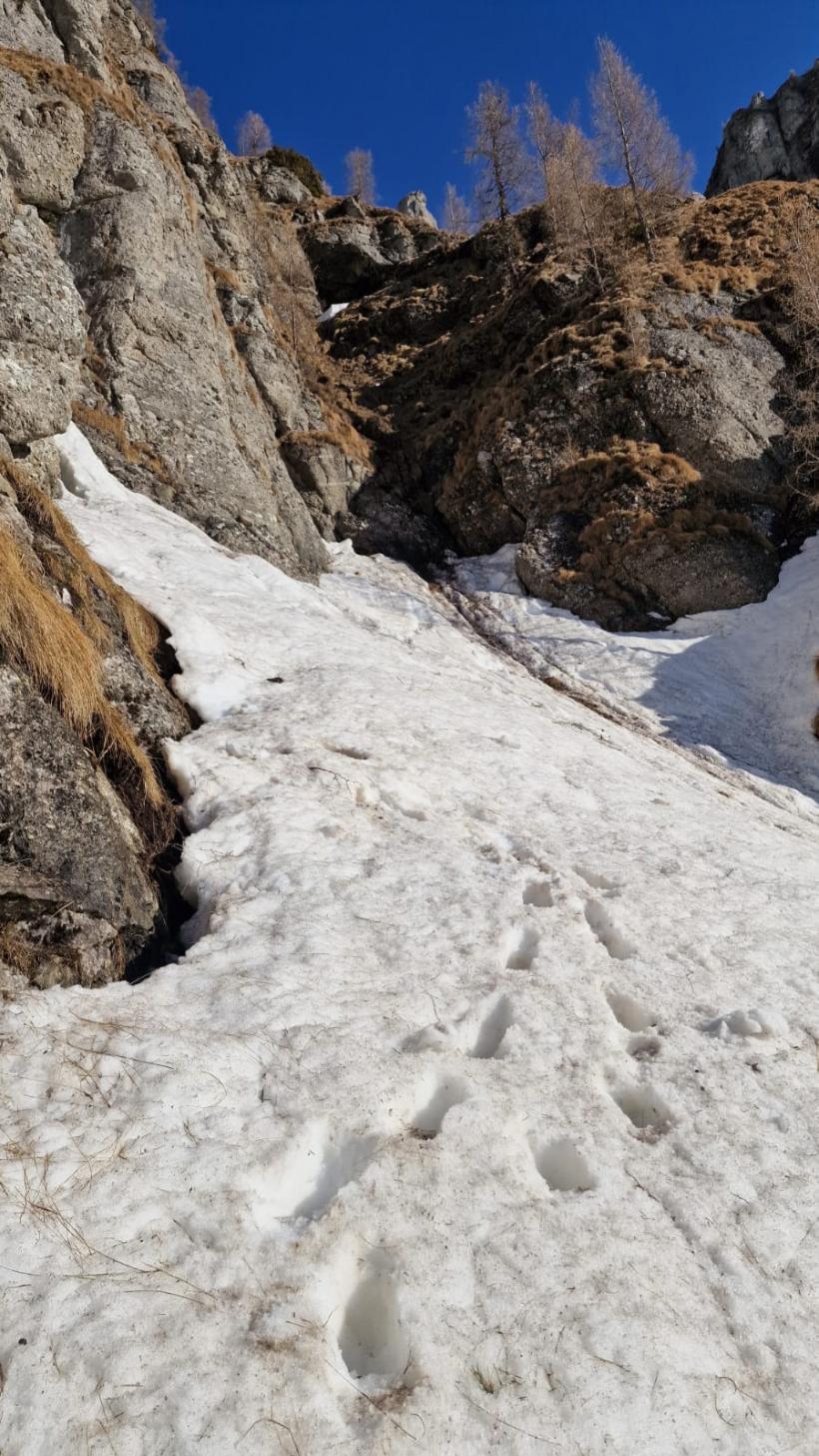 Un gălățean a rămas blocat noaptea, în pantaloni scurți, în Munții Caraiman 18831405