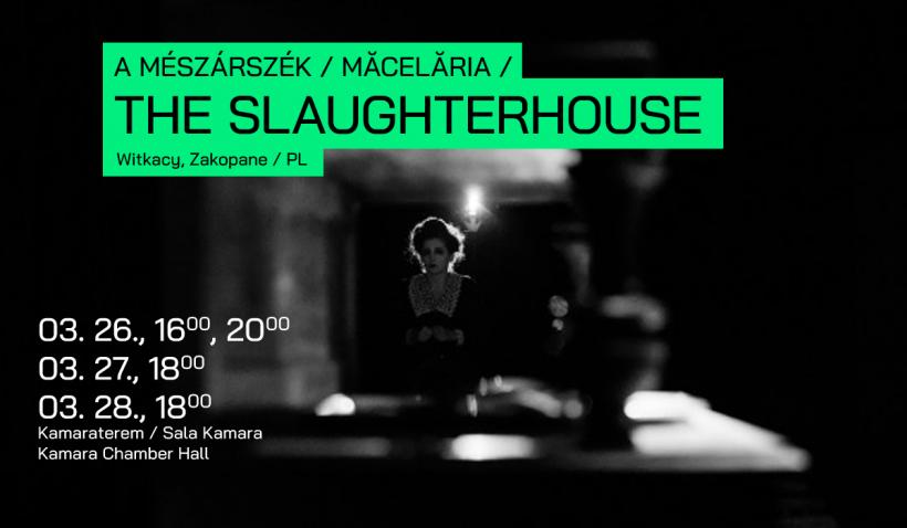 Începe Reflex5! 18831434