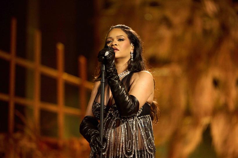 Alertă în locuința Rihannei: Poliția a arestat un bărbat care a călătorit 3.500 de kilometri s-o ceară de soție 18831493