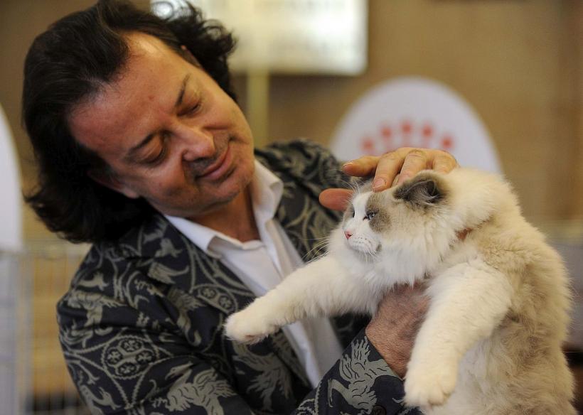 SofistiCAT în weekend, la Sala Palatului 18831541