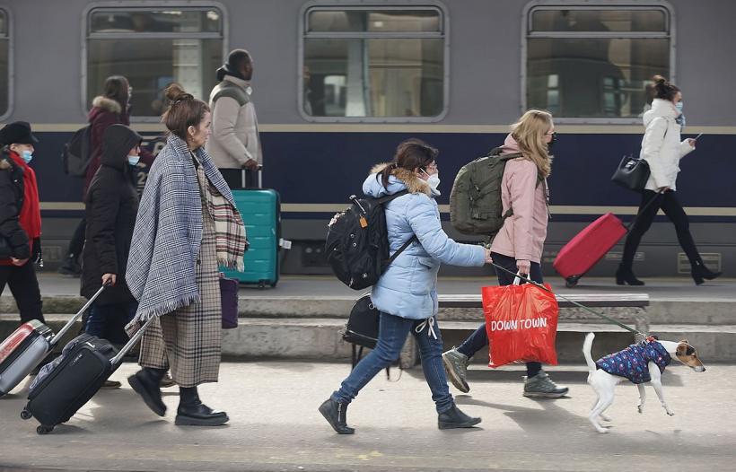 România vrea să reducă masiv sumele alocate pentru refugiații ucraineni și îi trimite la muncă 18831673