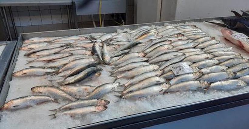 Controale fulger în Piața Obor. Amenzi uriașe pentru comercianții de pește