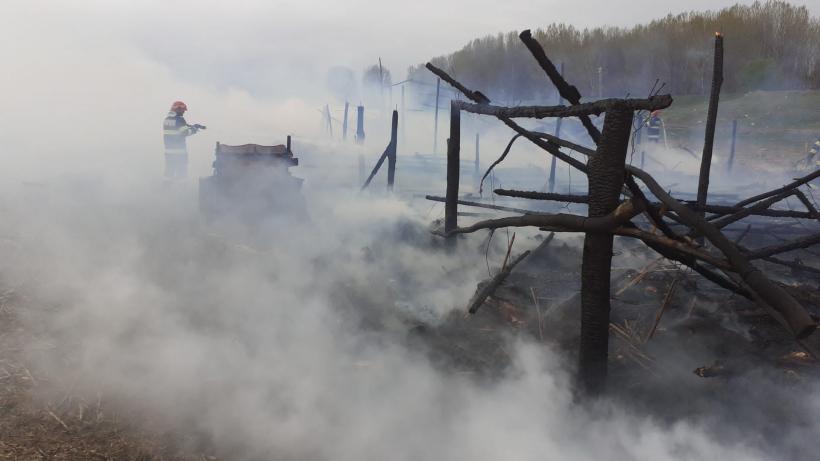 Incendiu la o stână, în apropiere de localitatea Măcin. Aproximativ 100 de oi au ars de vii