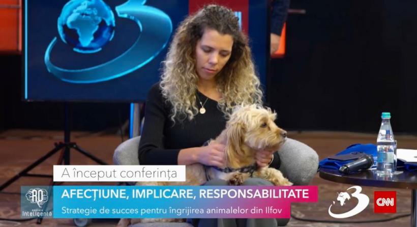 LIVE: Rețeta din Ilfov pentru rezolvarea problemei câinilor fără stăpân 