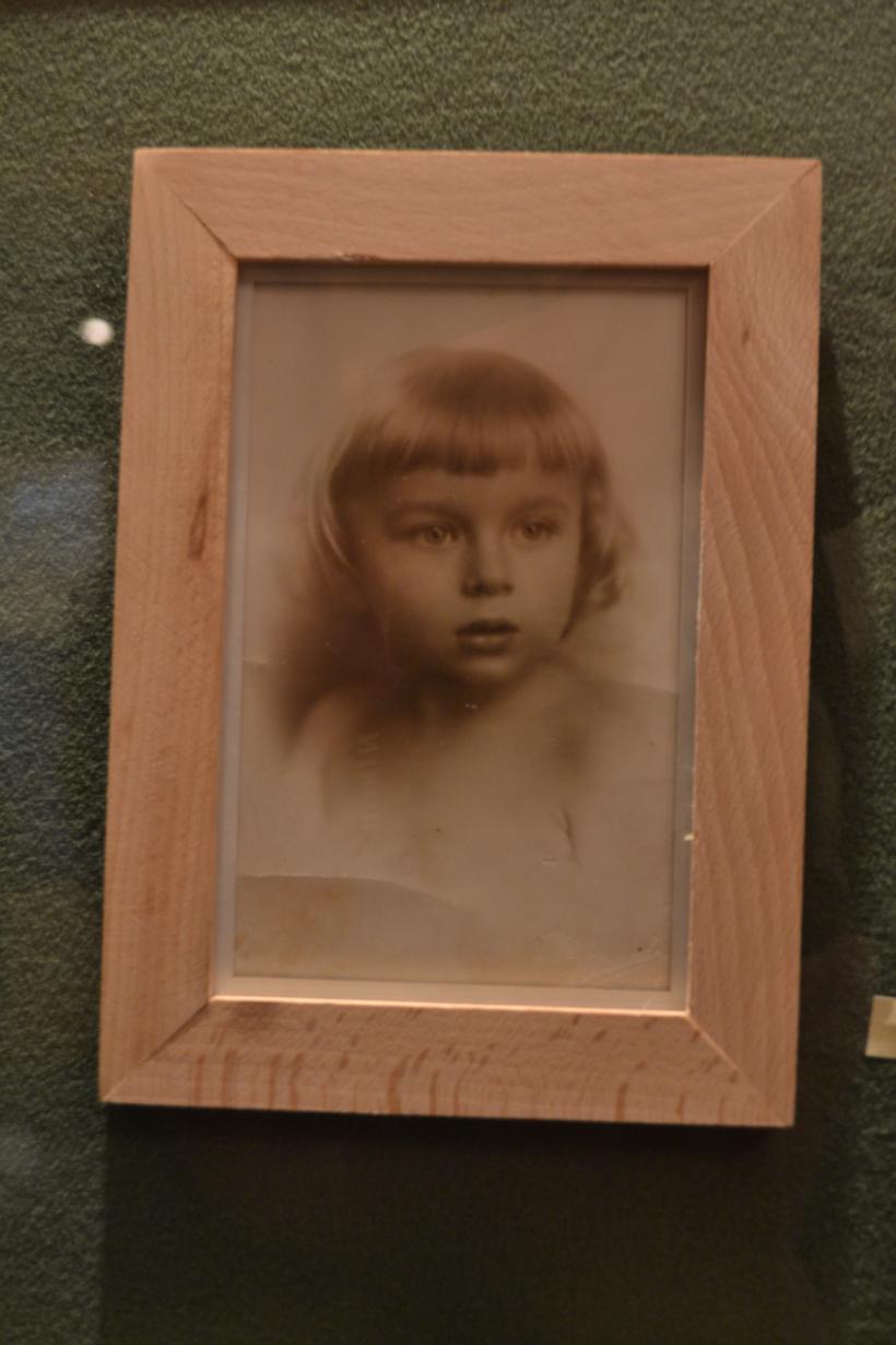 Petale și cioburi din viața lui Nichita 18832363