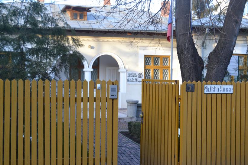 Petale și cioburi din viața lui Nichita 18832364