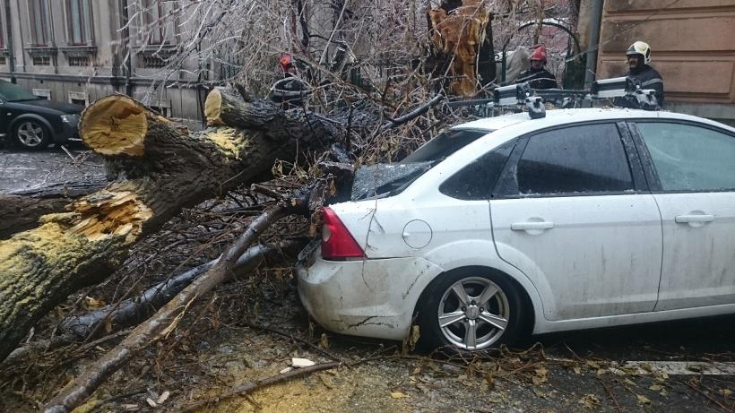 41 de copaci căzuți în București până la această oră și 32 de mașini avariate
