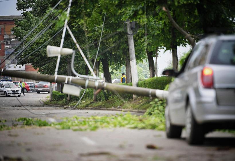 Zeci de intervenții în zona București-Ilfov. Vântul puternic a dărâmat copaci și stâlpi