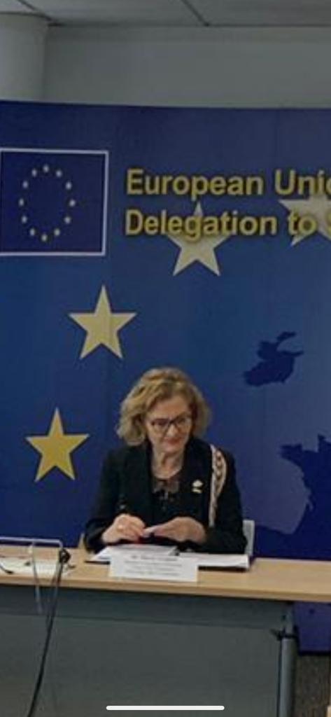 Delegație a Parlamentului European în Singapore, condusă de europarlamentarul umanist Maria Grapini 18833537