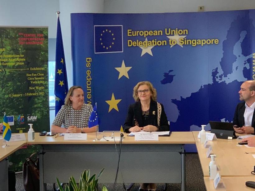 Delegație a Parlamentului European în Singapore, condusă de europarlamentarul umanist Maria Grapini