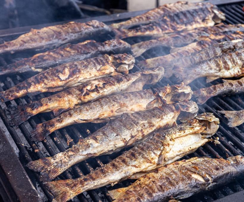 Festivalul Scrumbiei atrage numeroși gălățeni pe malul Dunării 18833713