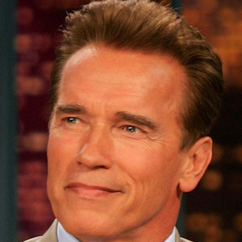 Arnold Schwarzenegger a asfaltat o groapă din cartierul său din Los Angeles: „Să nu ne plângem, să facem ceva”