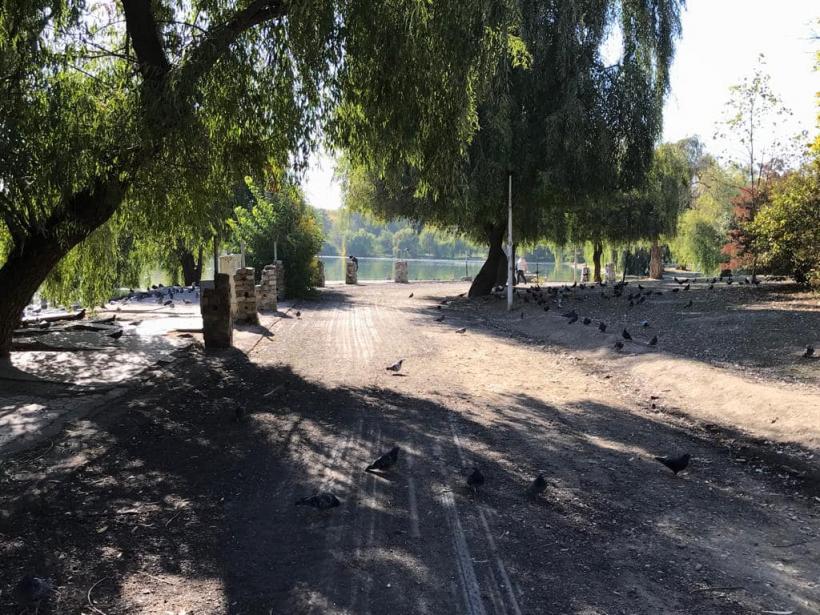 Nicușor Dan: Tribunalul București a anulat PUZ Parcul Tineretului 18834199