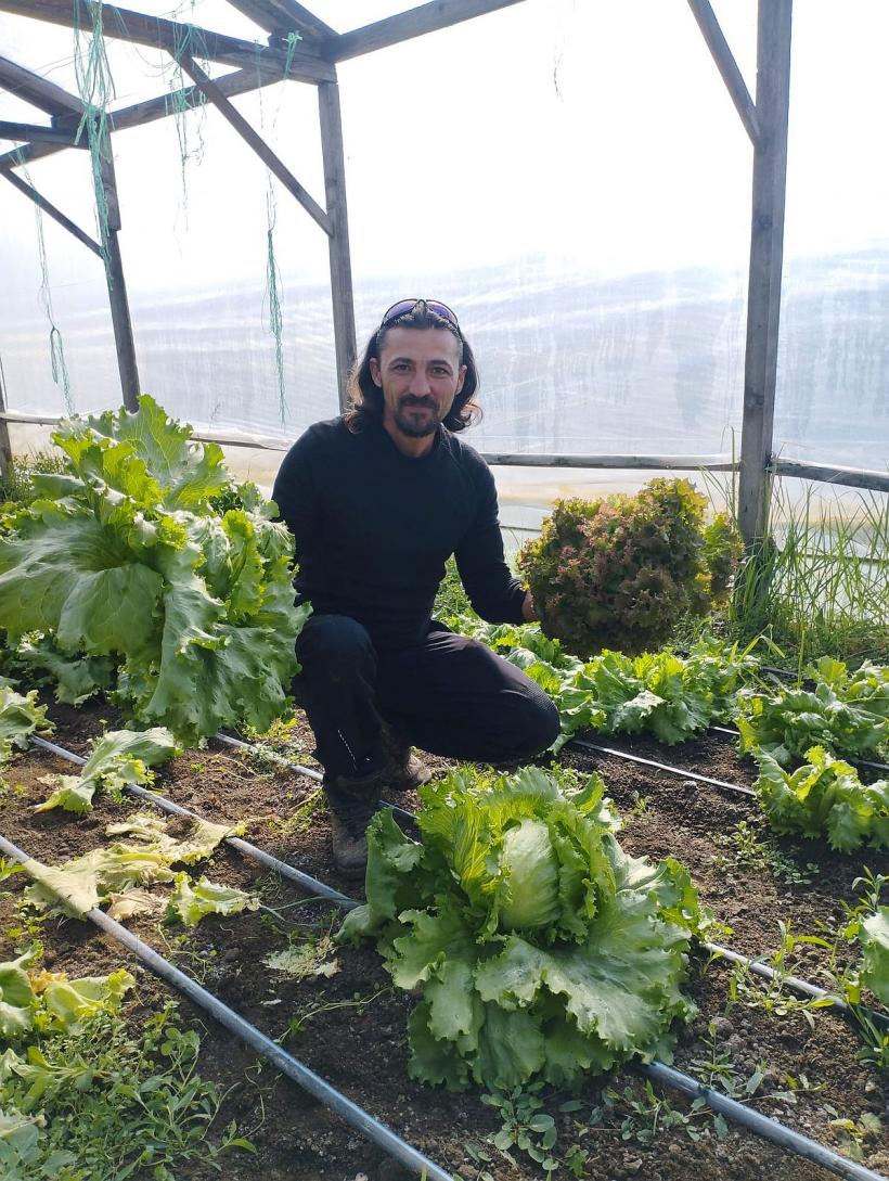 Pătrunjelul bio sau ecologic, între minciună şi certificare 18834313