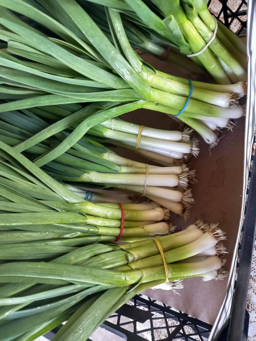 Pătrunjelul bio sau ecologic, între minciună şi certificare 18834316