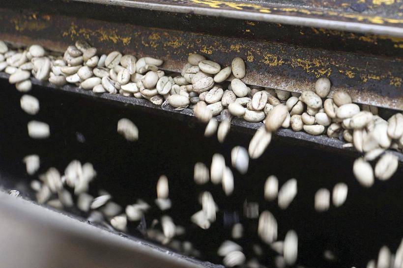 Pe etichetă-i vopsit gardul, înăuntru-i leopardul (2)  18834507