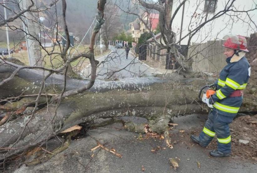 Transalpina blocată de o stâncă. Un copac a căzut pe drumul spre Masivul Parâng