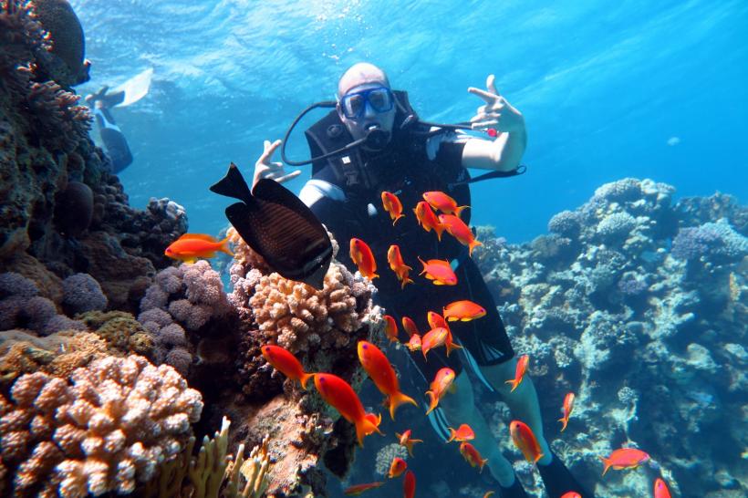 Atracțiile planetei: Sharm El Sheikh – paradisul amatorilor de scufundări și aventuri în deșert