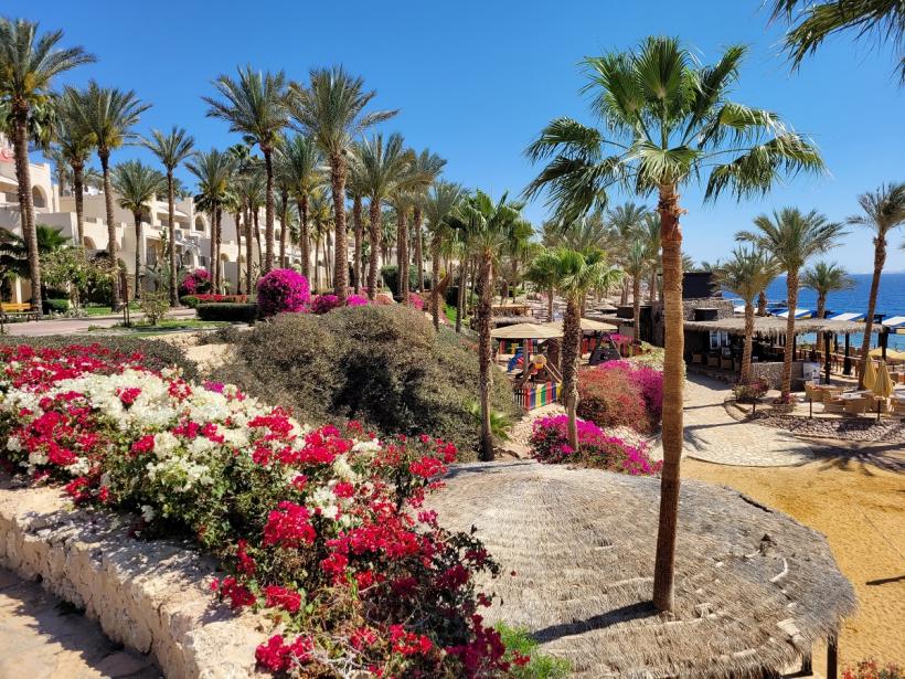 Atracțiile planetei: Sharm El Sheikh – paradisul amatorilor de scufundări și aventuri în deșert 18835073