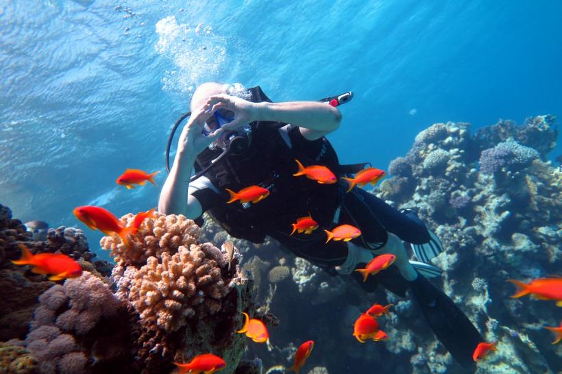 Atracțiile planetei: Sharm El Sheikh – paradisul amatorilor de scufundări și aventuri în deșert 18835076