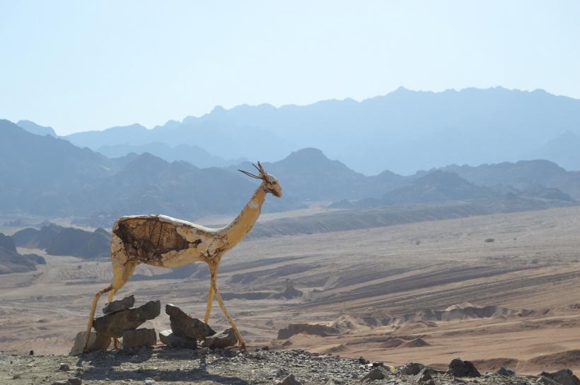Atracțiile planetei: Sharm El Sheikh – paradisul amatorilor de scufundări și aventuri în deșert 18835079