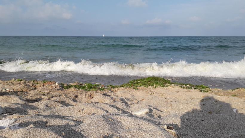 Se va deschide sezonul estival fără șezlonguri, baruri sau WC-uri 18834979