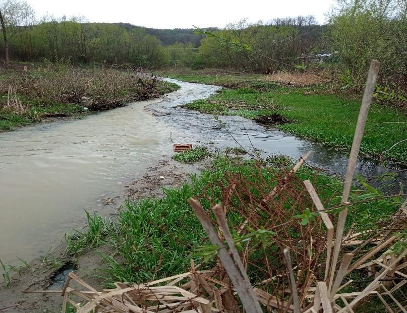 Poluarea cu țiței pe râul Lopatna 18835638
