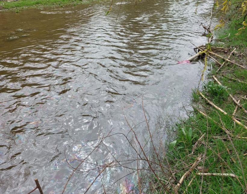 Poluarea cu țiței pe râul Lopatna 18835639