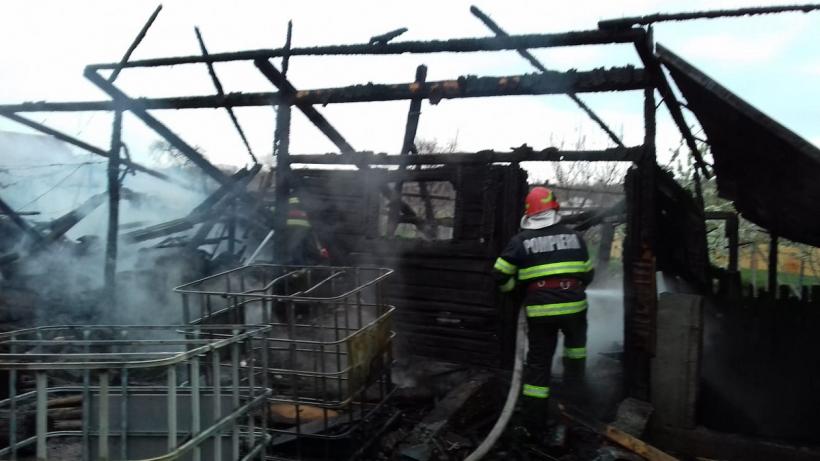 Incendiu la un adăpost de animale. Proprietara a suferit arsuri 18835649