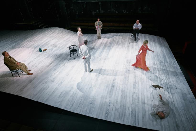 Premiera Platonov la Bulandra 18835781