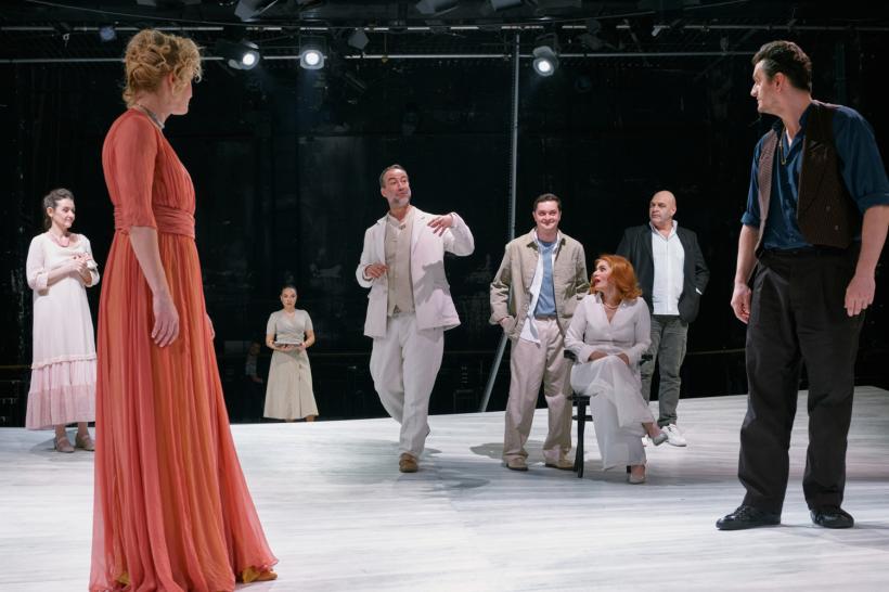 Premiera Platonov la Bulandra 18835782