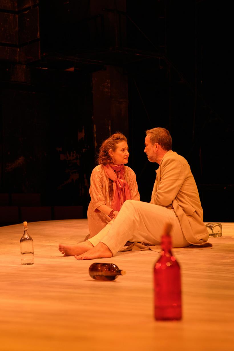 Premiera Platonov la Bulandra 18835785