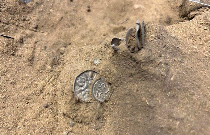 Monede vikinge vechi de 1.000 de ani, descoperite, într-un lan de porumb danez