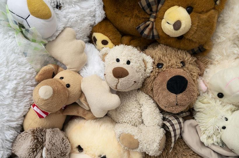 Animalele de pluș, pline de germeni. Cum le cureți 18835983