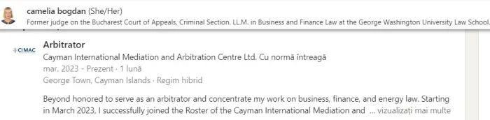 Fosta judecătoare Camelia Bogdan e plătită cu normă întreagă de un offshore din Insulele Cayman 18836192